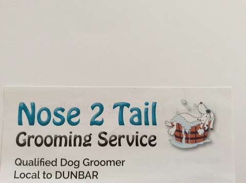 Nose2tail Dog Grooming photo